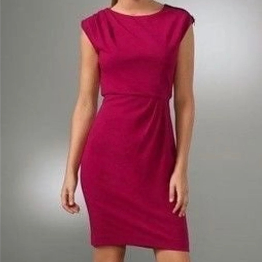 Diane Von Furstenberg Marchona Hot Pink Dress  | 6